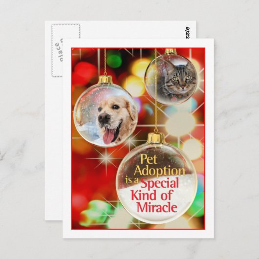 briefkaart (Voorkant / Achterkant)