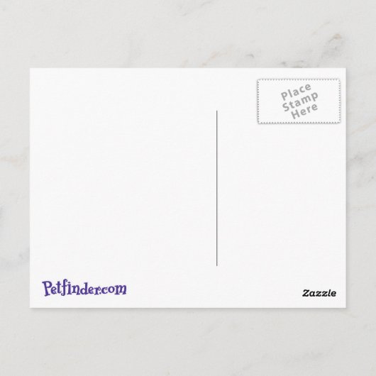 briefkaart (Achterkant)