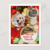 briefkaart (Voorkant)