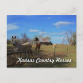 Briefkaart (Voorkant)