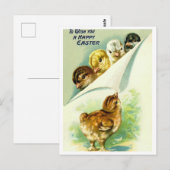 Briefkaart (Voorkant / Achterkant)