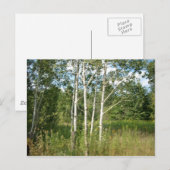 Briefkaart (Voorkant / Achterkant)