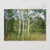 Briefkaart (Voorkant)