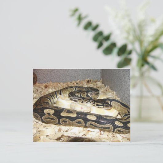 Briefkaart (Staand voorkant)