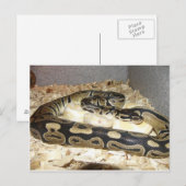 Briefkaart (Voorkant / Achterkant)