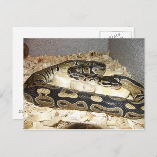 Briefkaart (Voorkant / Achterkant)