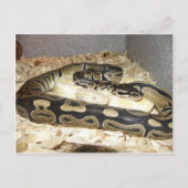 Briefkaart (Voorkant)