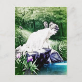 Briefkaart (Voorkant)