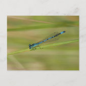 Briefkaart (Voorkant)