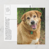  BRIEFKAART (Voorkant / Achterkant)