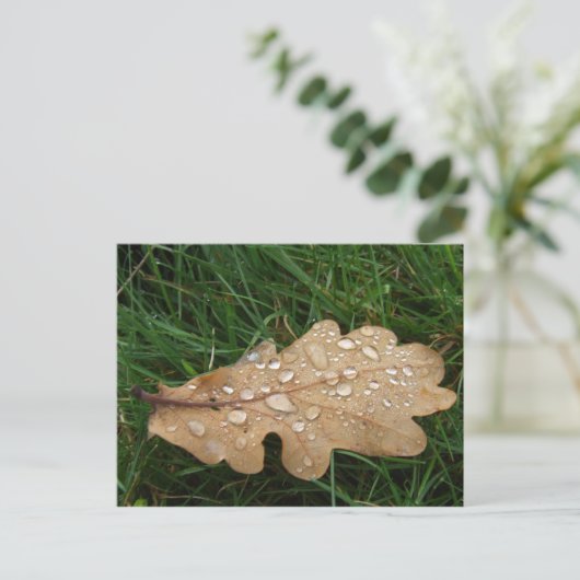 Briefkaart (Staand voorkant)