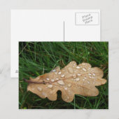 Briefkaart (Voorkant / Achterkant)