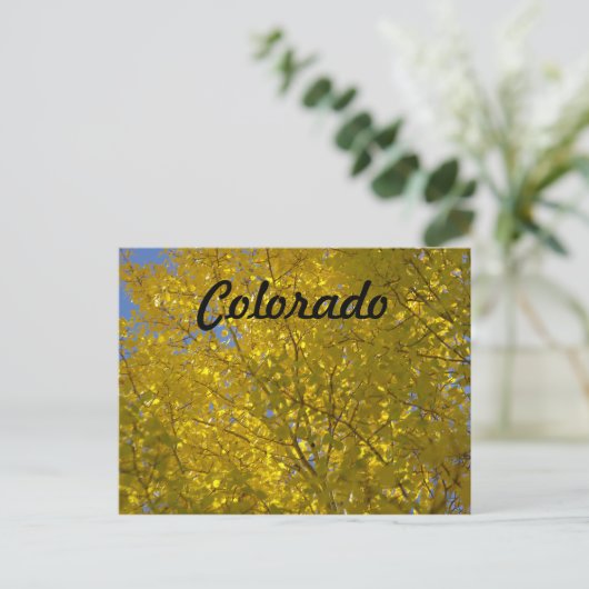 Briefkaart (Staand voorkant)