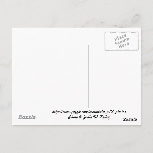 Briefkaart (Achterkant)