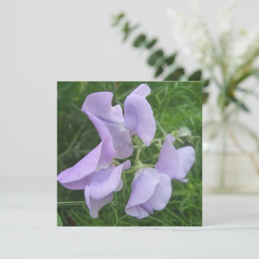 Briefkaart (Staand voorkant)