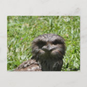 Briefkaart (Voorkant)