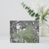 Briefkaart (Staand voorkant)