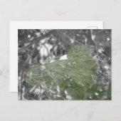 Briefkaart (Voorkant / Achterkant)