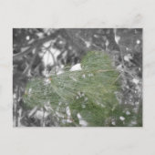 Briefkaart (Voorkant)