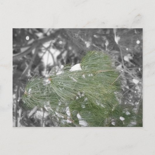 Briefkaart (Voorkant)