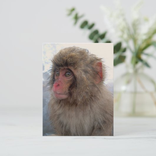 Briefkaart (Staand voorkant)