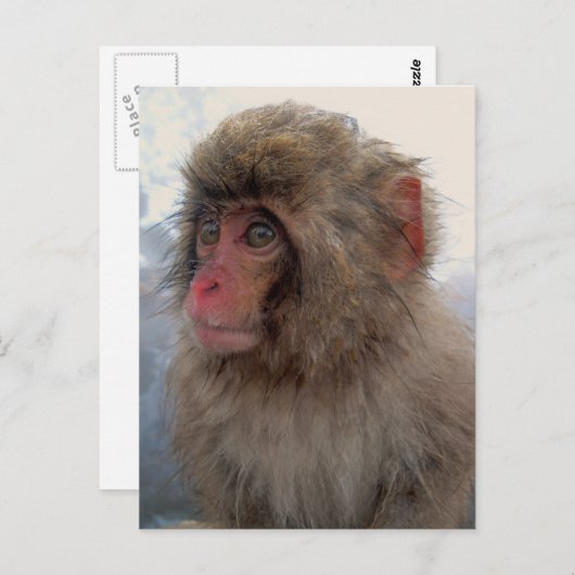 Briefkaart (Voorkant / Achterkant)