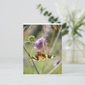 Briefkaart (Staand voorkant)