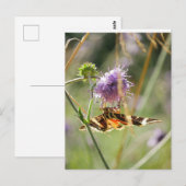 Briefkaart (Voorkant / Achterkant)