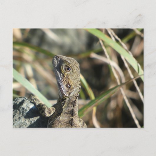 Briefkaart (Voorkant)