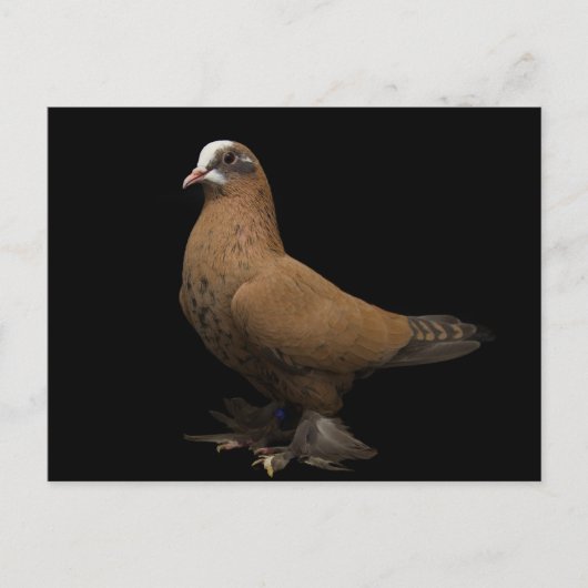 Briefkaart (Voorkant)