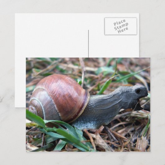 Briefkaart (Voorkant / Achterkant)