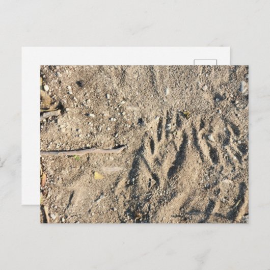 Briefkaart (Voorkant / Achterkant)