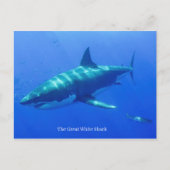 Briefkaart (Voorkant)