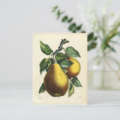  briefkaart (Staand voorkant)