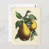  briefkaart (Voorkant / Achterkant)