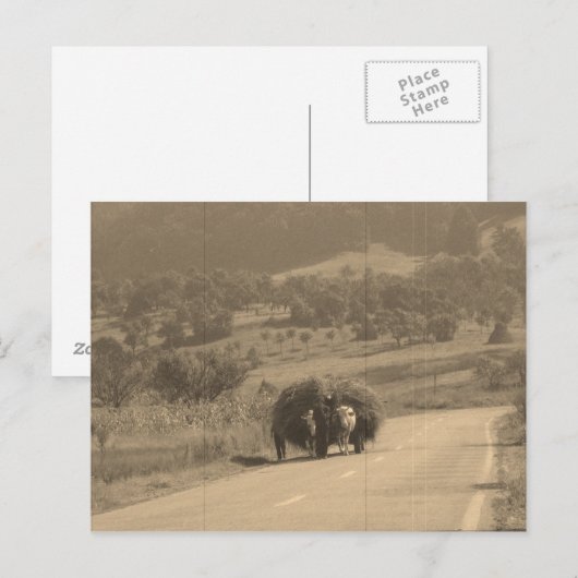 Briefkaart (Voorkant / Achterkant)