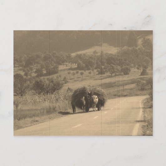 Briefkaart (Voorkant)