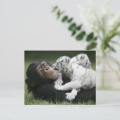 Briefkaart (Staand voorkant)