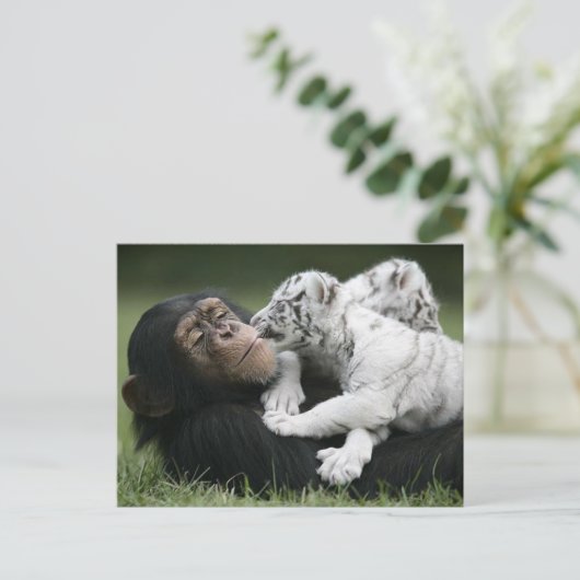 Briefkaart (Staand voorkant)