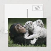 Briefkaart (Voorkant / Achterkant)