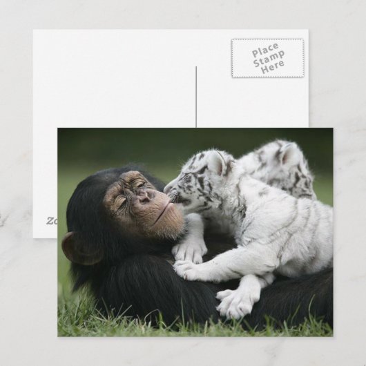 Briefkaart (Voorkant / Achterkant)