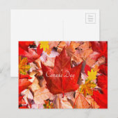 Briefkaart (Voorkant / Achterkant)