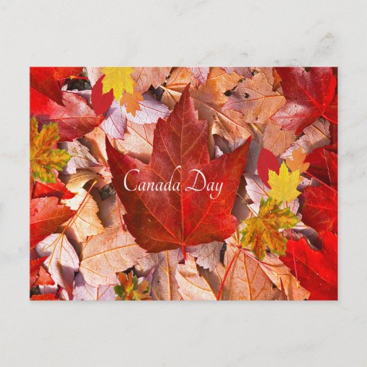 Briefkaart (Voorkant)