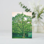 Briefkaart (Staand voorkant)