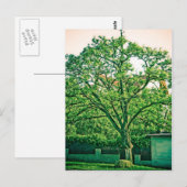 Briefkaart (Voorkant / Achterkant)