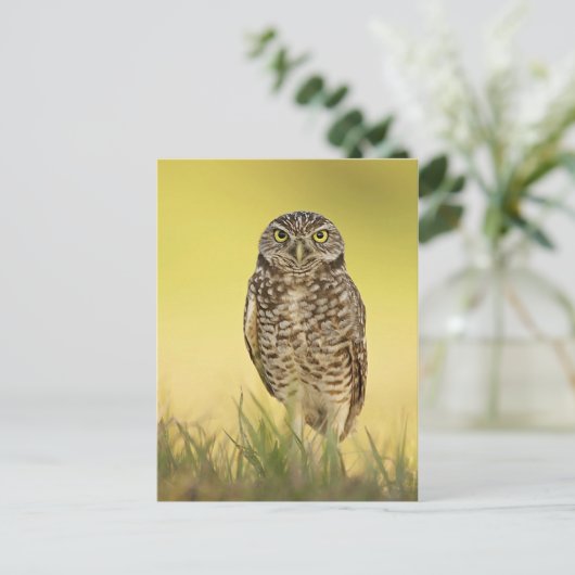 Briefkaart (Staand voorkant)