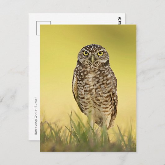 Briefkaart (Voorkant / Achterkant)