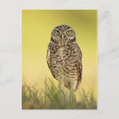 Briefkaart (Voorkant)