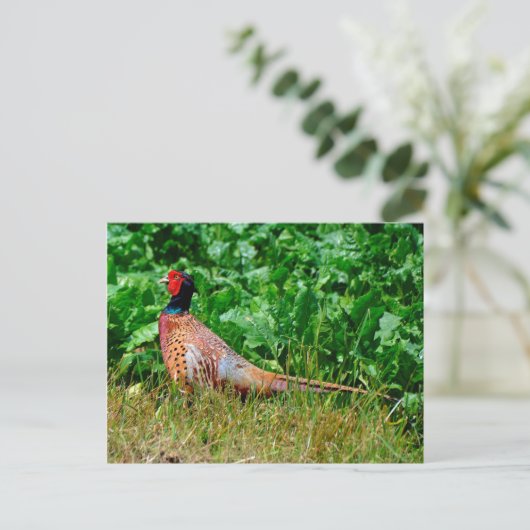 Briefkaart (Staand voorkant)