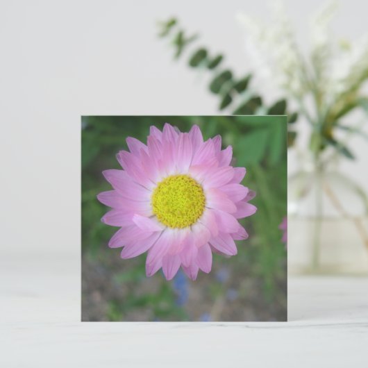 Briefkaart (Staand voorkant)